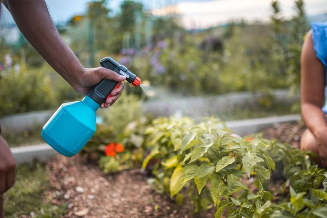 Tratamientos fitosanitarios en Guipúzcoa