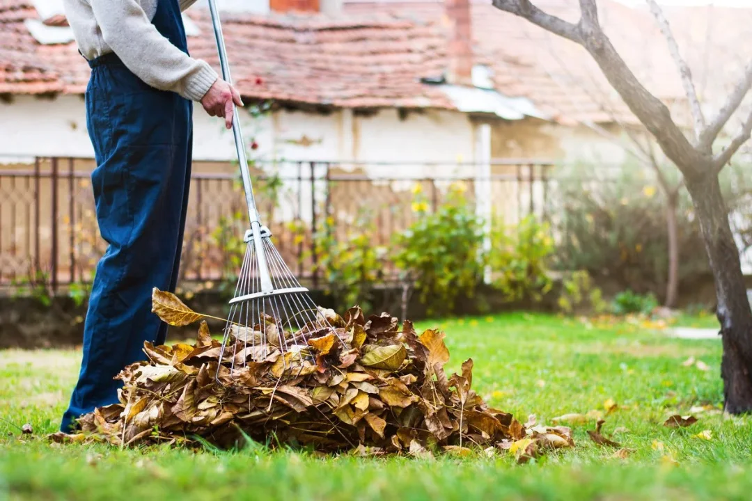 Limpieza de jardines en Castellón
