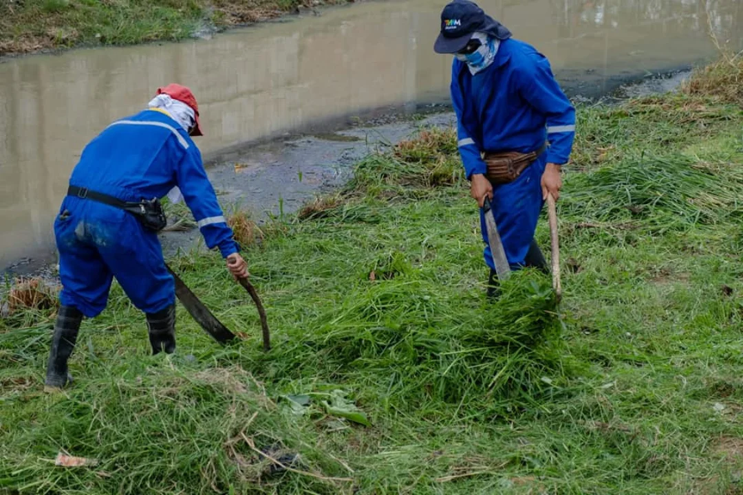 Desbroce y Prevención de Incendios
