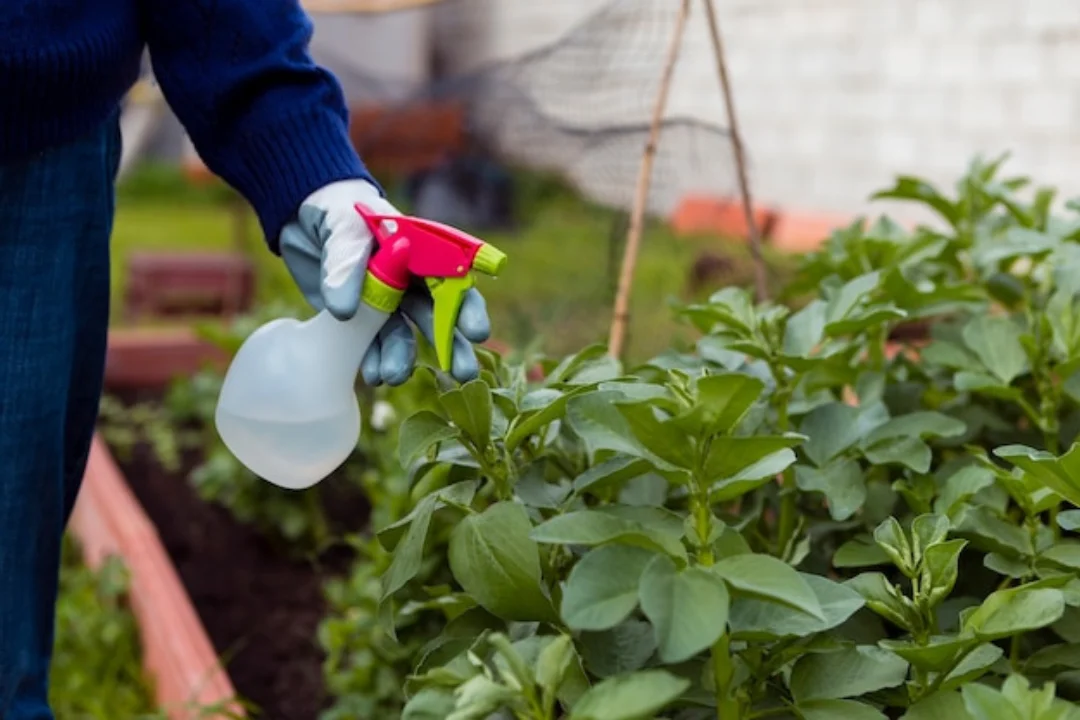 Tratamientos Fitosanitarios Ecológicos