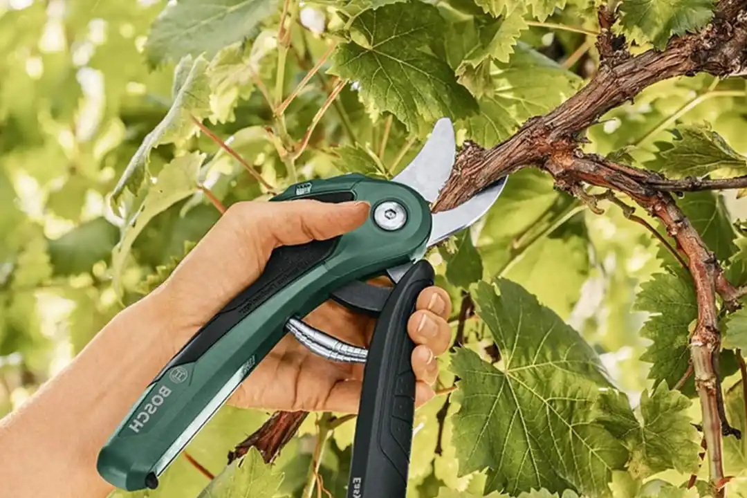 Mantenimiento de jardines en Salamanca