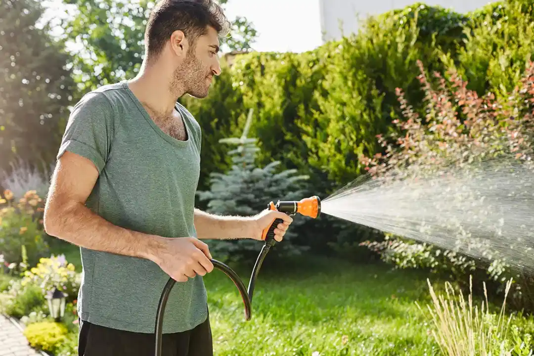 Mantenimiento de jardines en Burgos